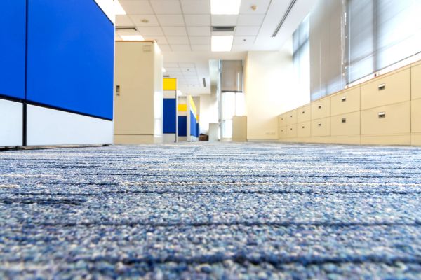 Business Carpet Cleaning in Littleton