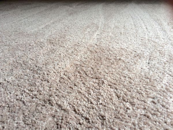 Plush Carpet Installation in Littleton