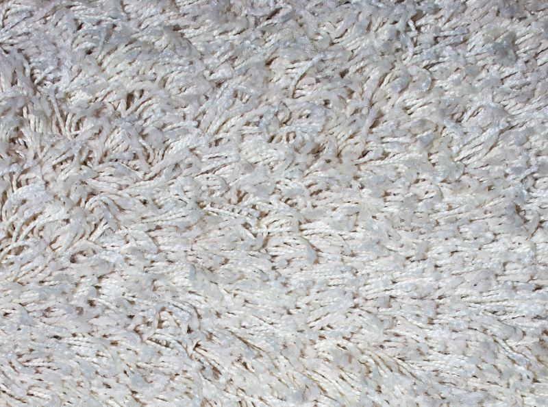 Fall Carpet Maintenance